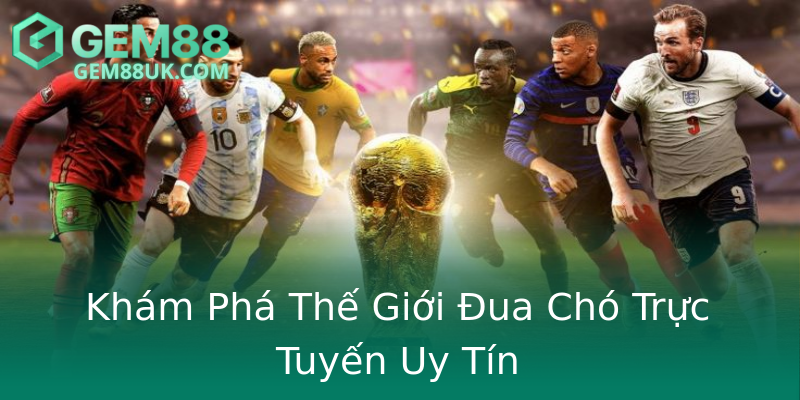 Khám Phá Thế Giới Đua Chó Trực Tuyến Uy Tín Khám Phá Thế Giới Đua Chó Trực Tuyến Uy Tín
